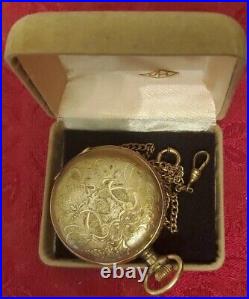 Antique 1894 Elgin Natl Pocket Watch 11 Jewel Gold Hunter Case For Parts/repair